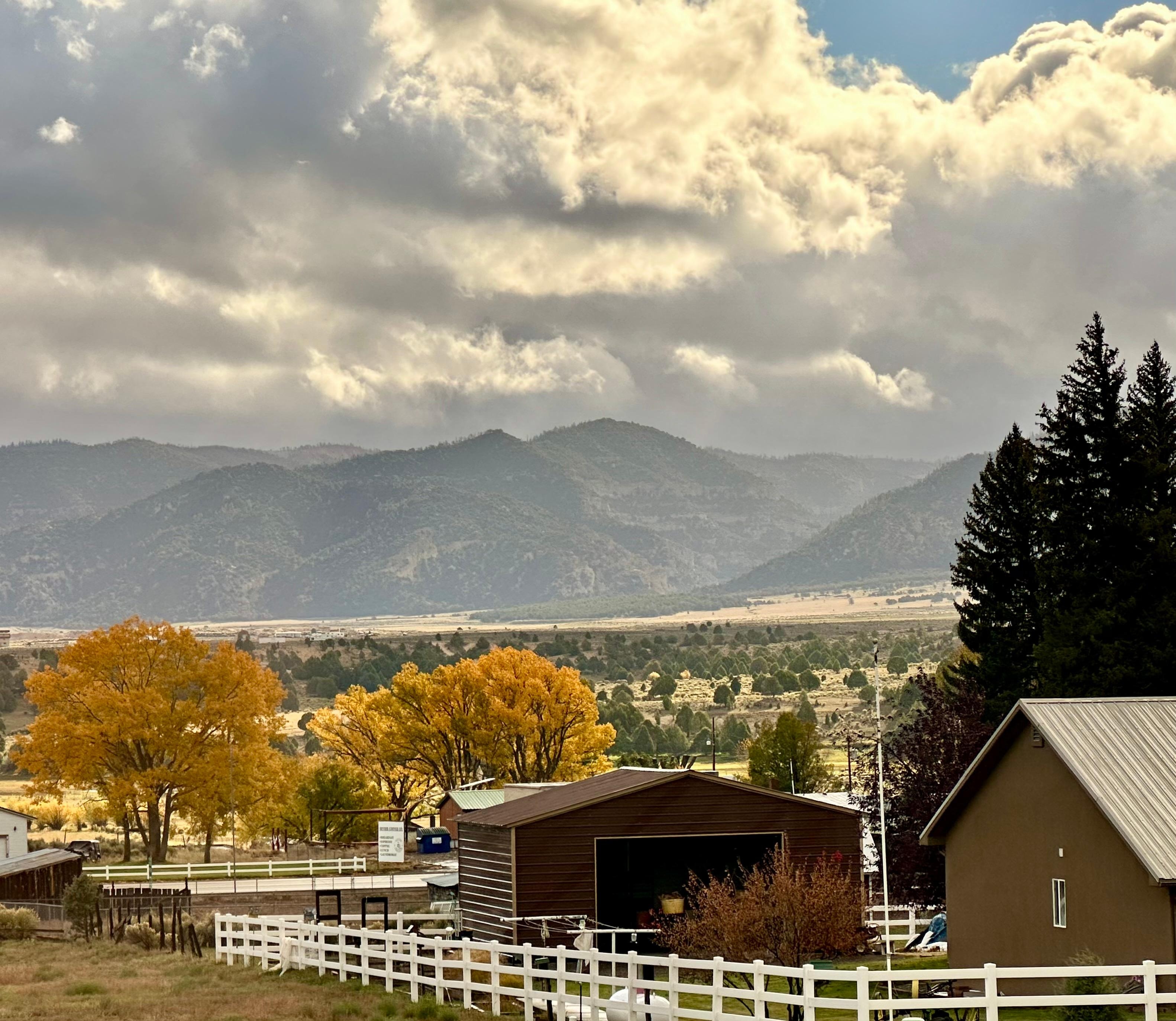 View from the wall of windows.  