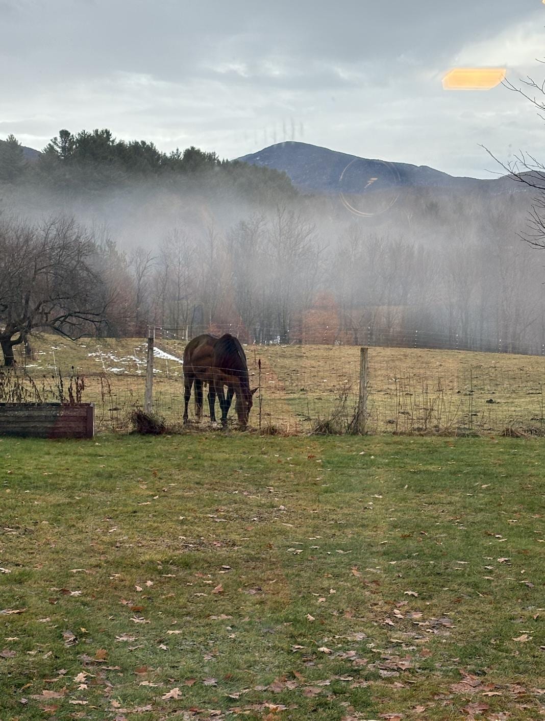 View from the kitchen, living room, and two upstairs bedrooms.