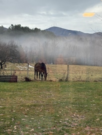 View from the kitchen, living room, and two upstairs bedrooms.