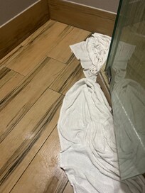 Leaky bathroom shower.