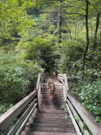 Stairs to/from the water