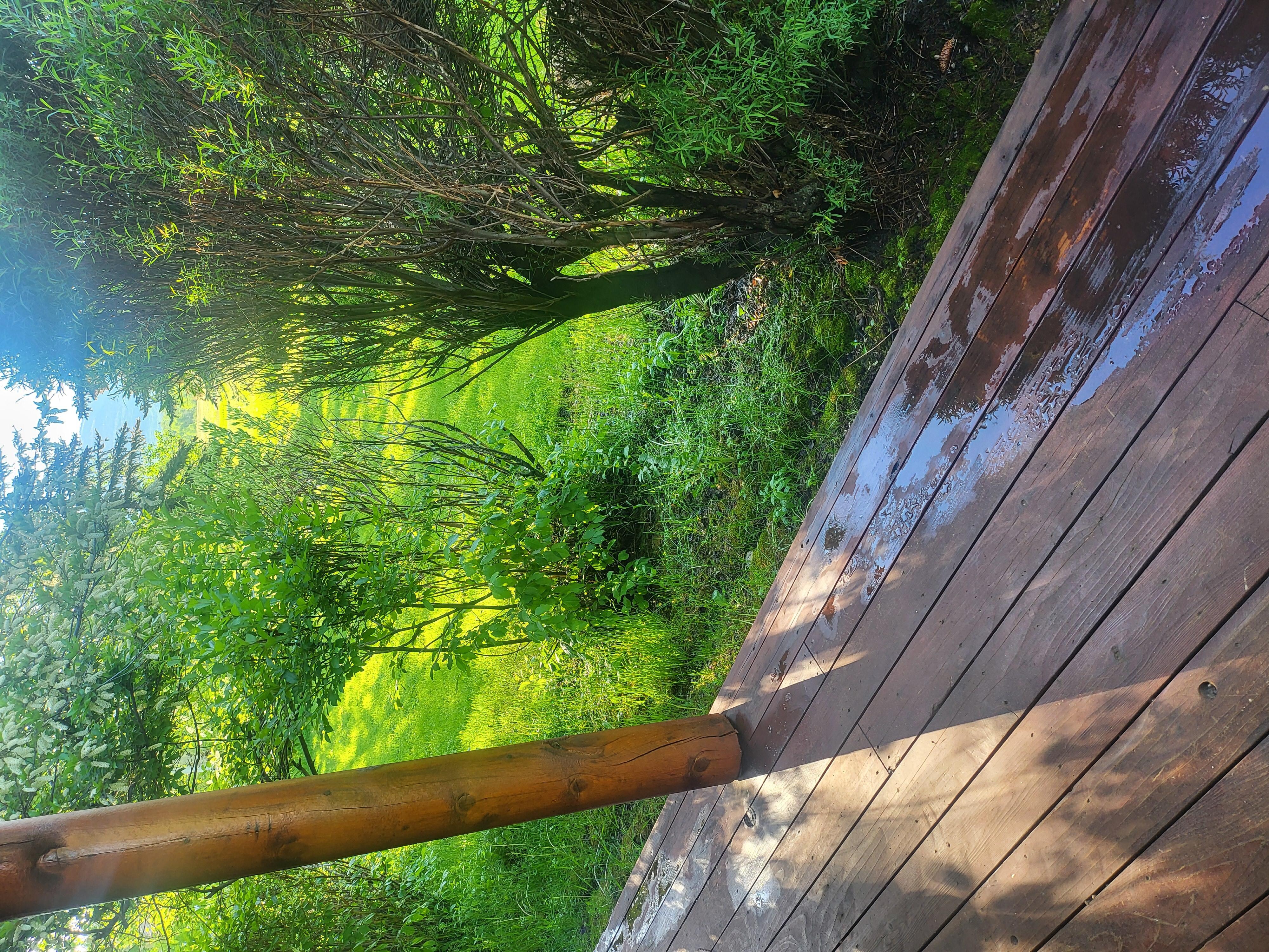 Came back to wet porch everyday and sprinklers still going front and back yards.