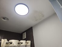 Mildew in the bathroom