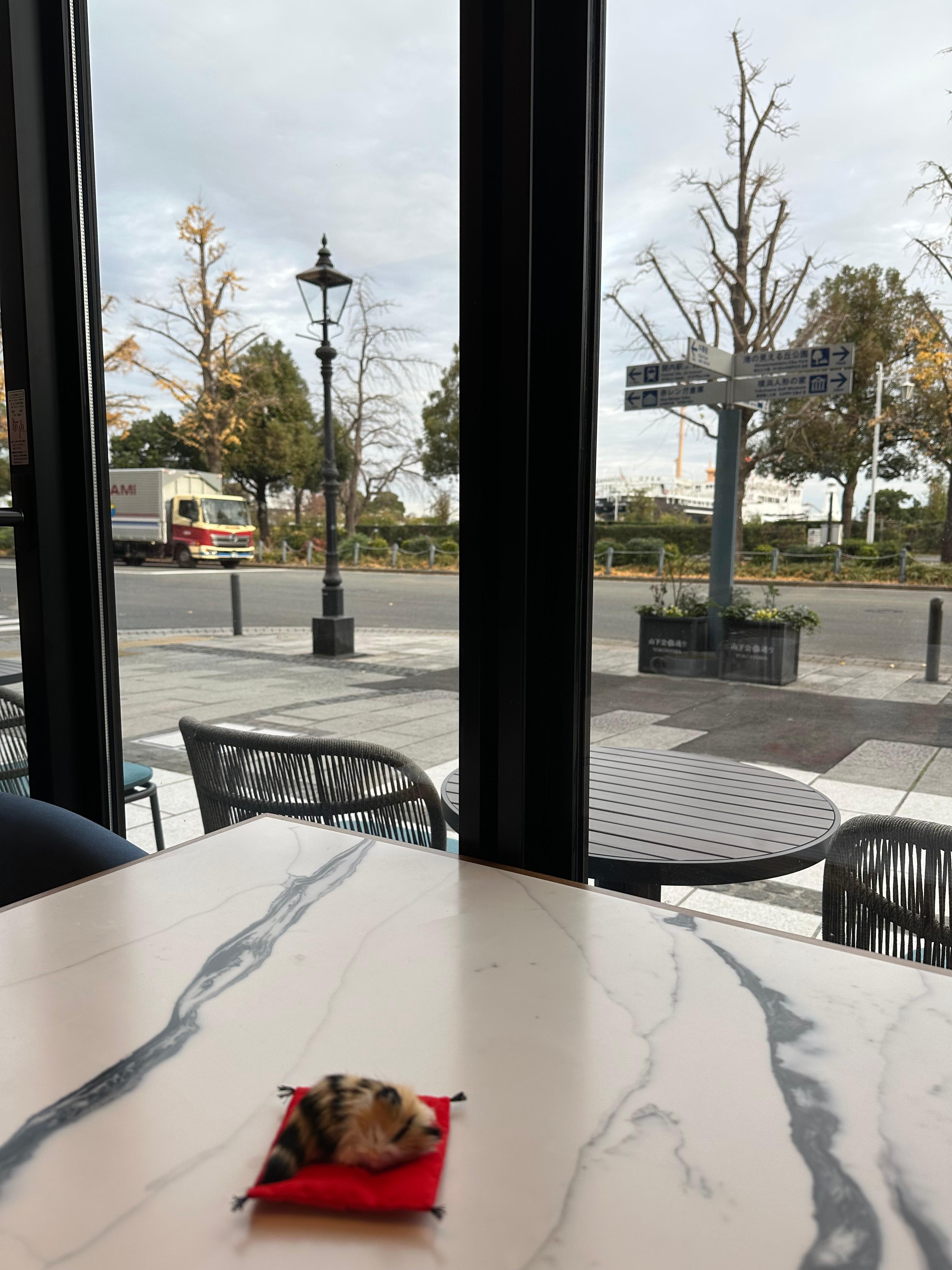 View from restaurant 