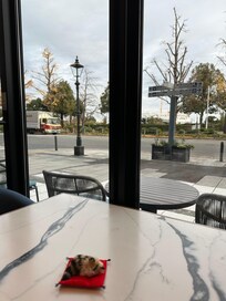 View from restaurant