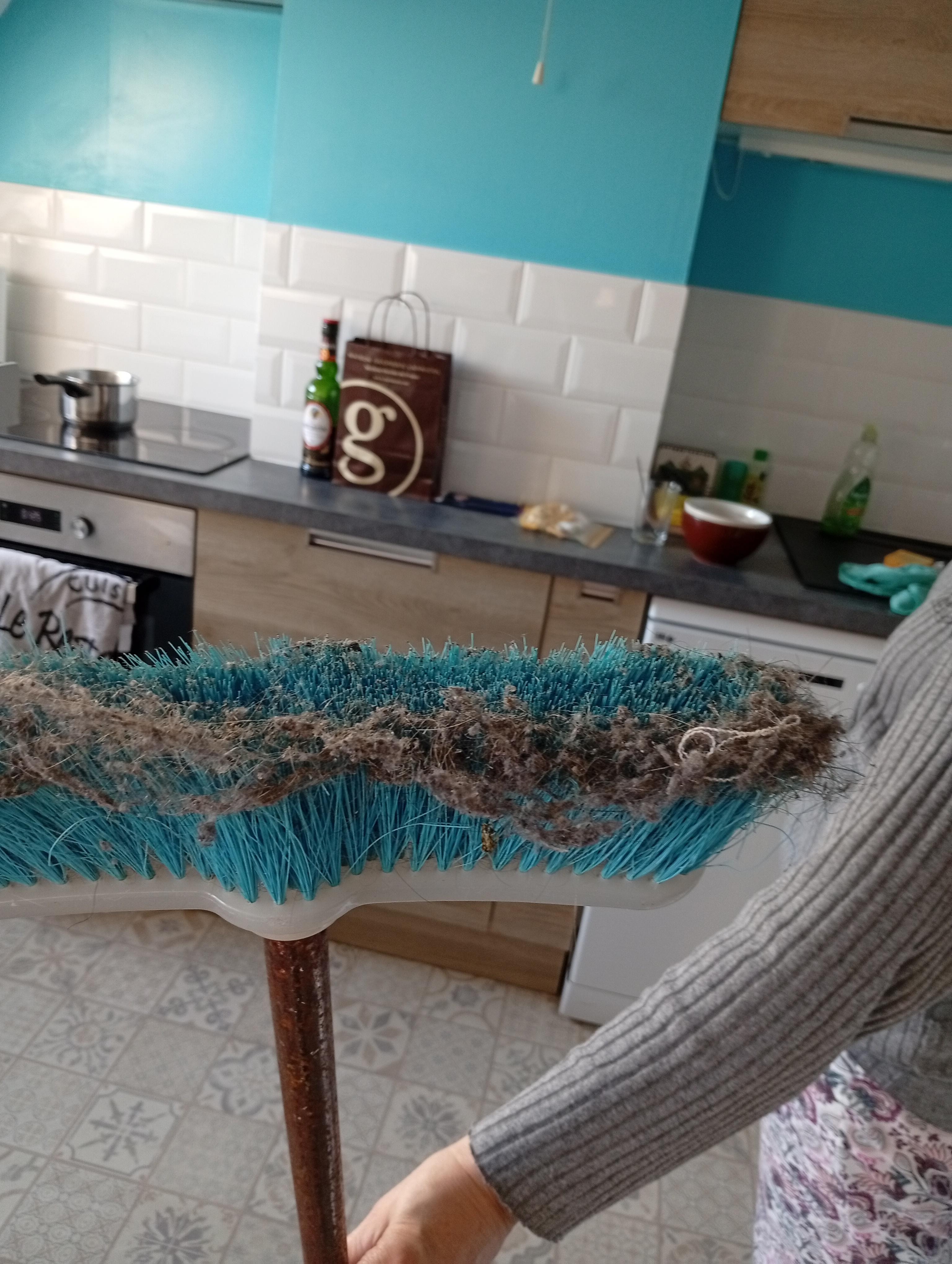 Balai dégoutant . aspirateur en panne