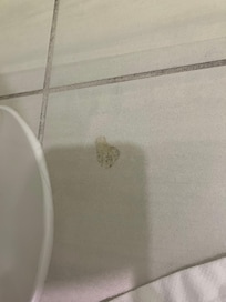 Bathroom after room service