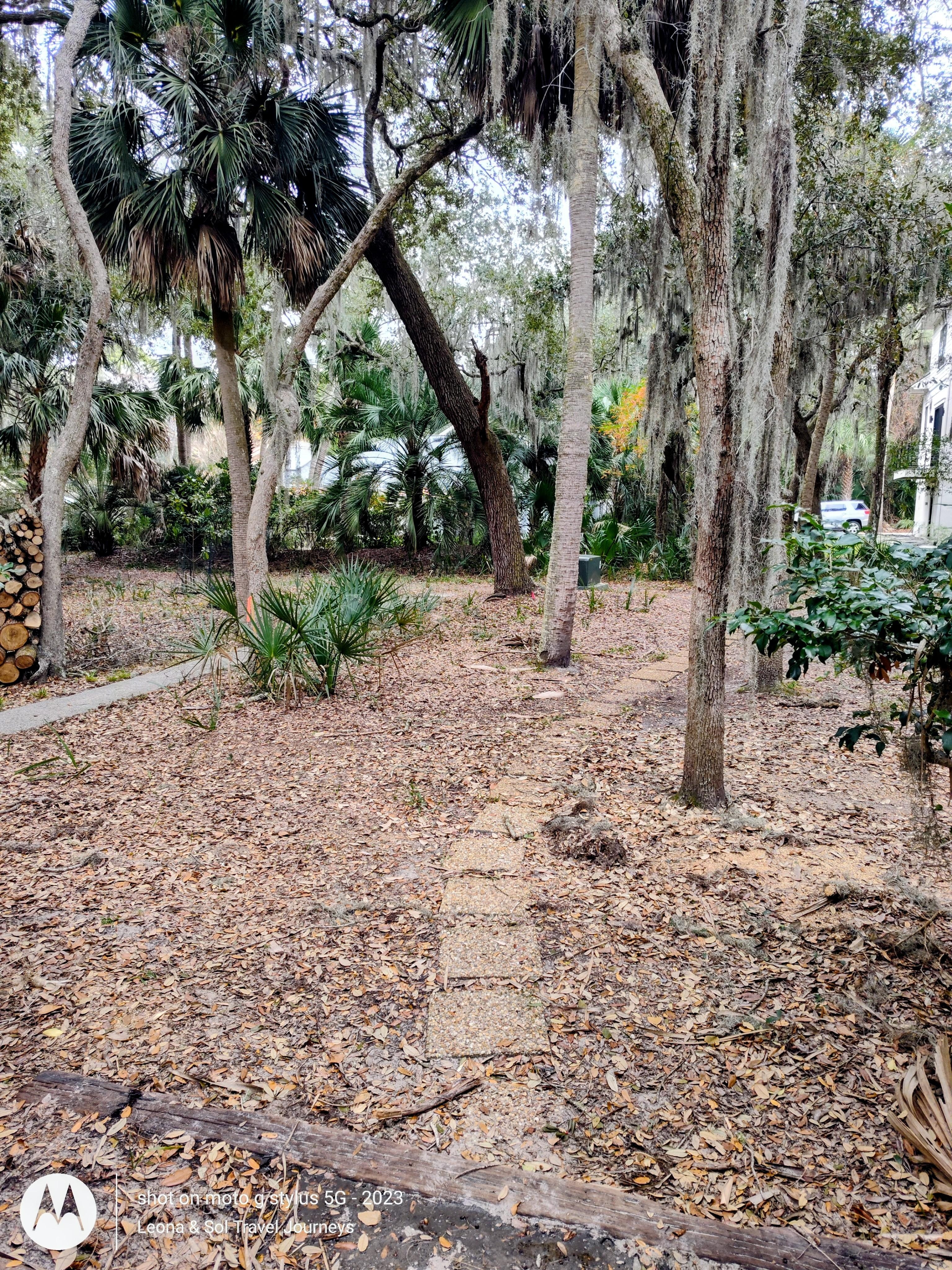 Beach path from the back of the house.