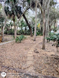 Beach path from the back of the house.