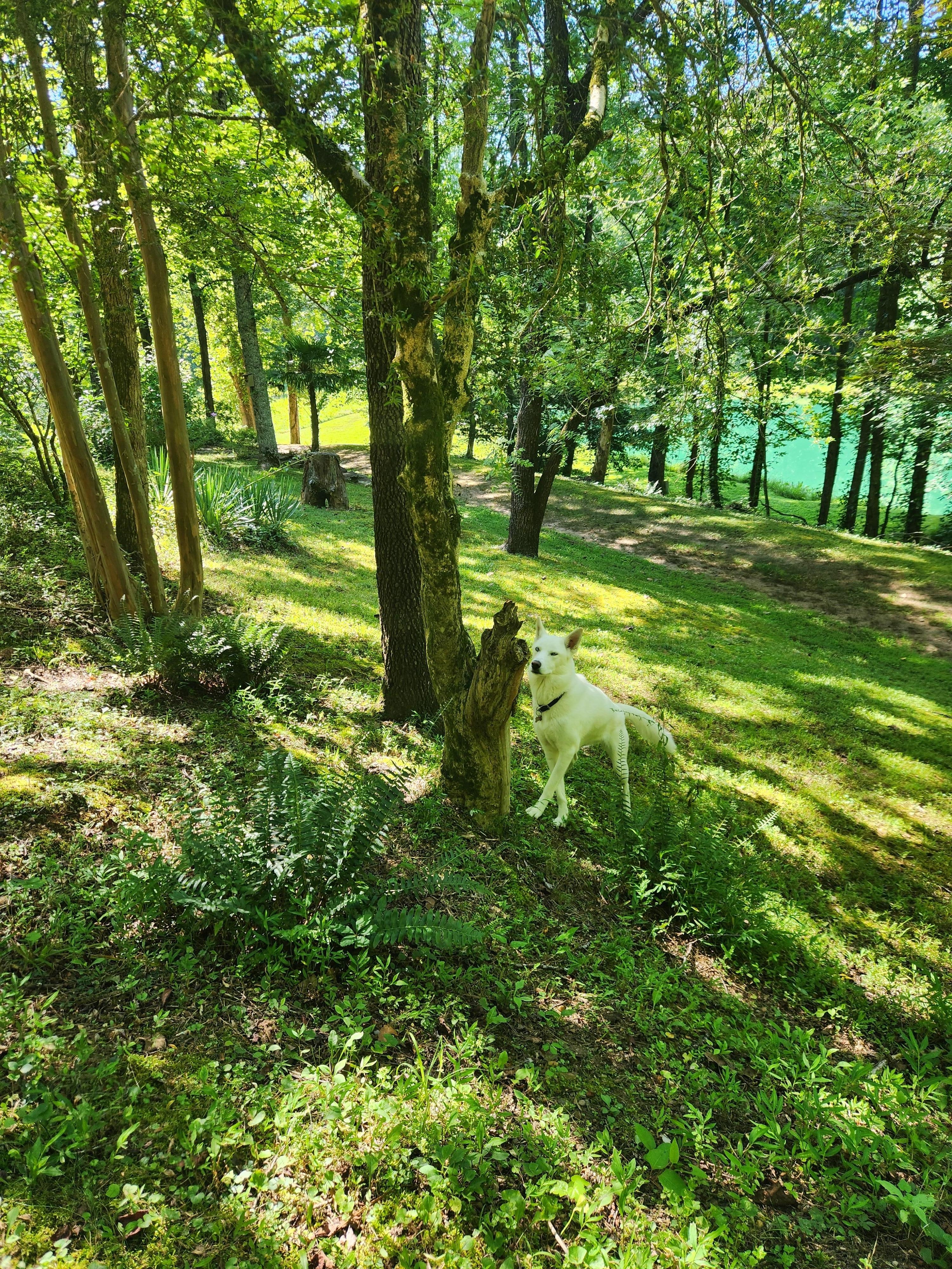 Everyone enjoyed exploring.