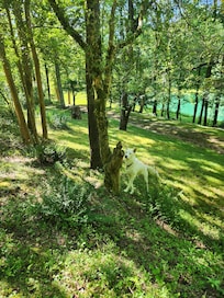 Everyone enjoyed exploring.