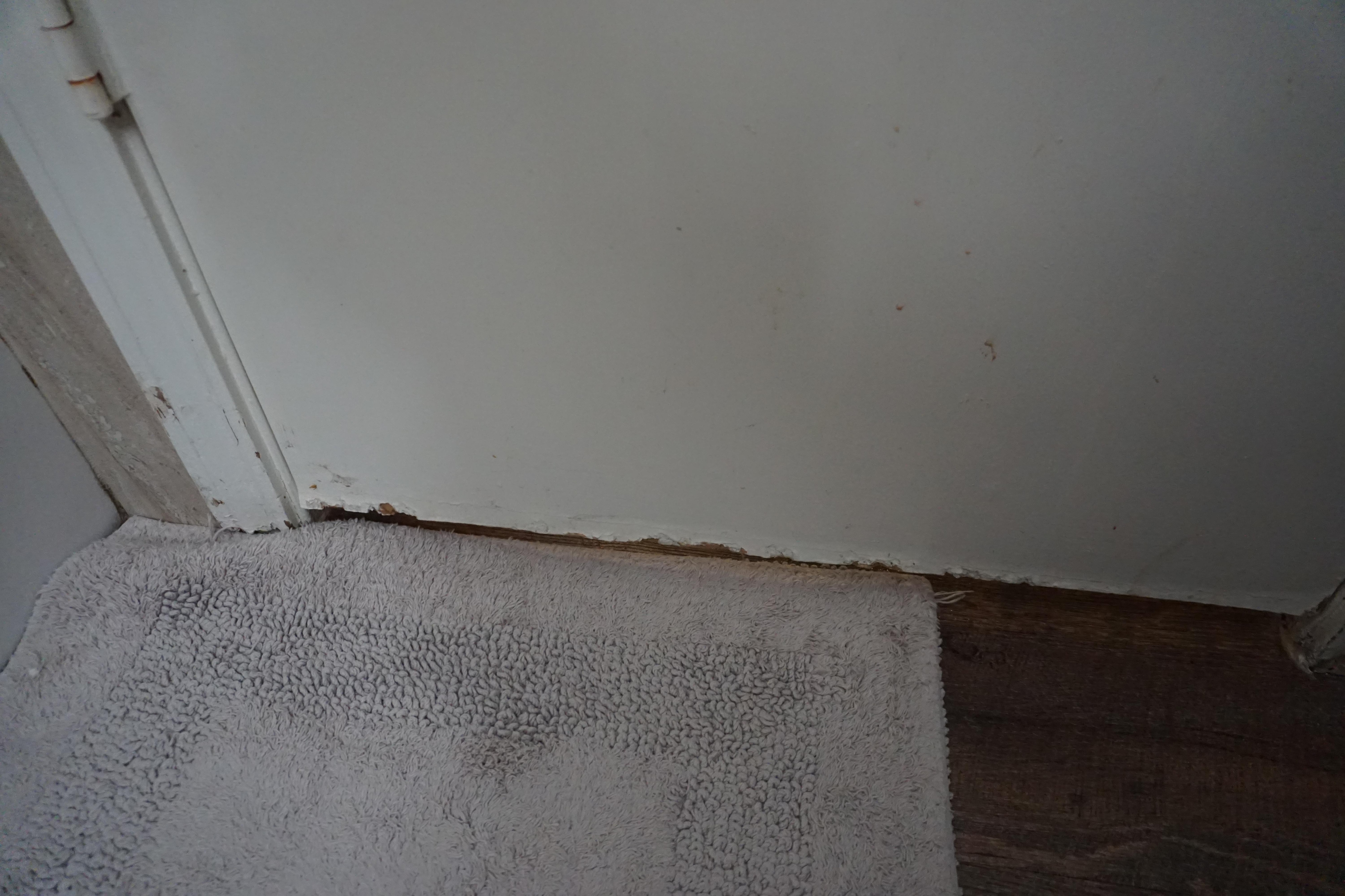 Door needs to be replaced, but at minimum needs to be scrubbed and bottom needs to be sanded and repainted.