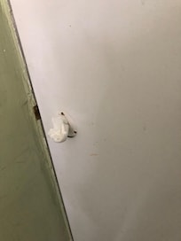 pas de poignée de porte , un mouchoir en papier pour boucher le trou, porte fermée que par un semblant de verrou...