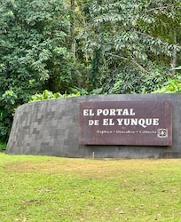 Location is very close to rainforest