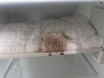 Freezer fridge