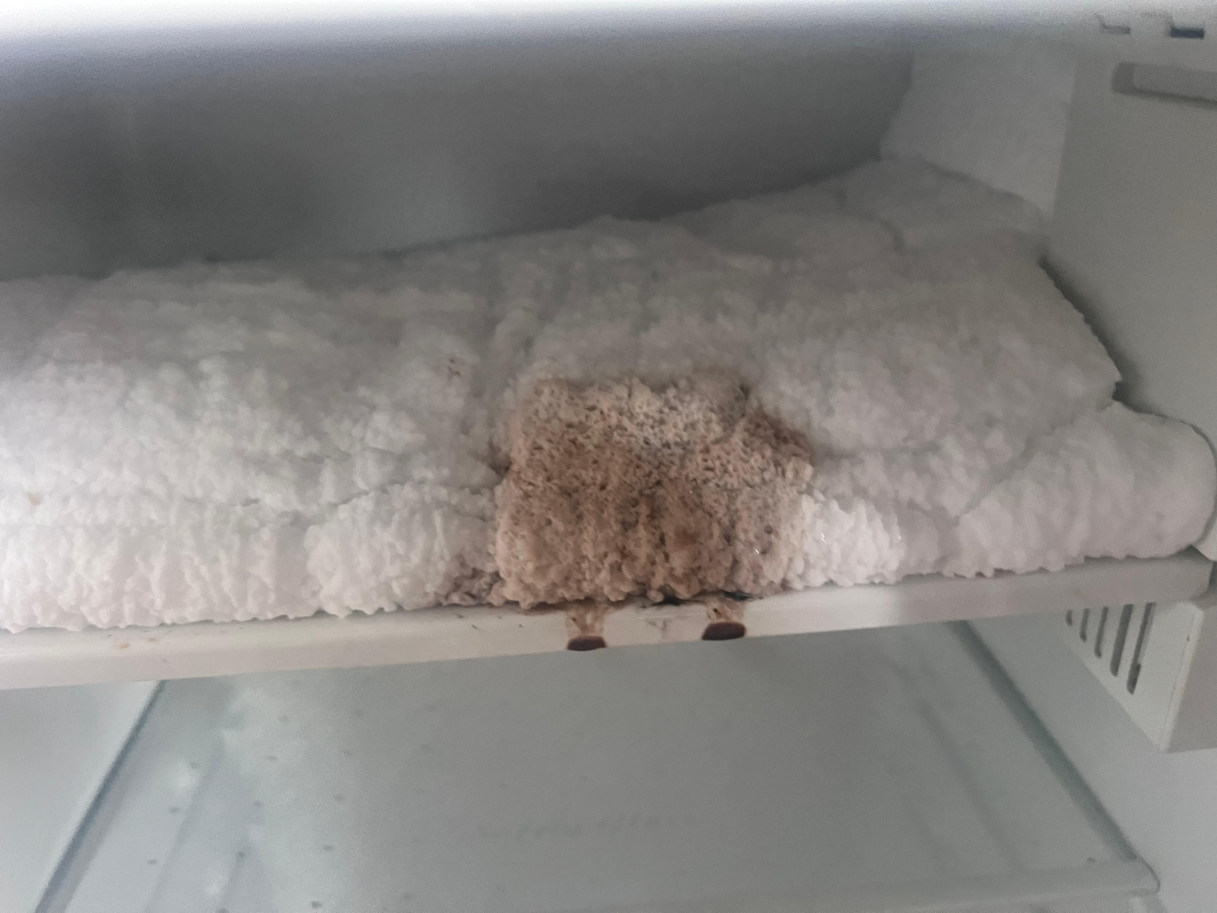 Freezer fridge