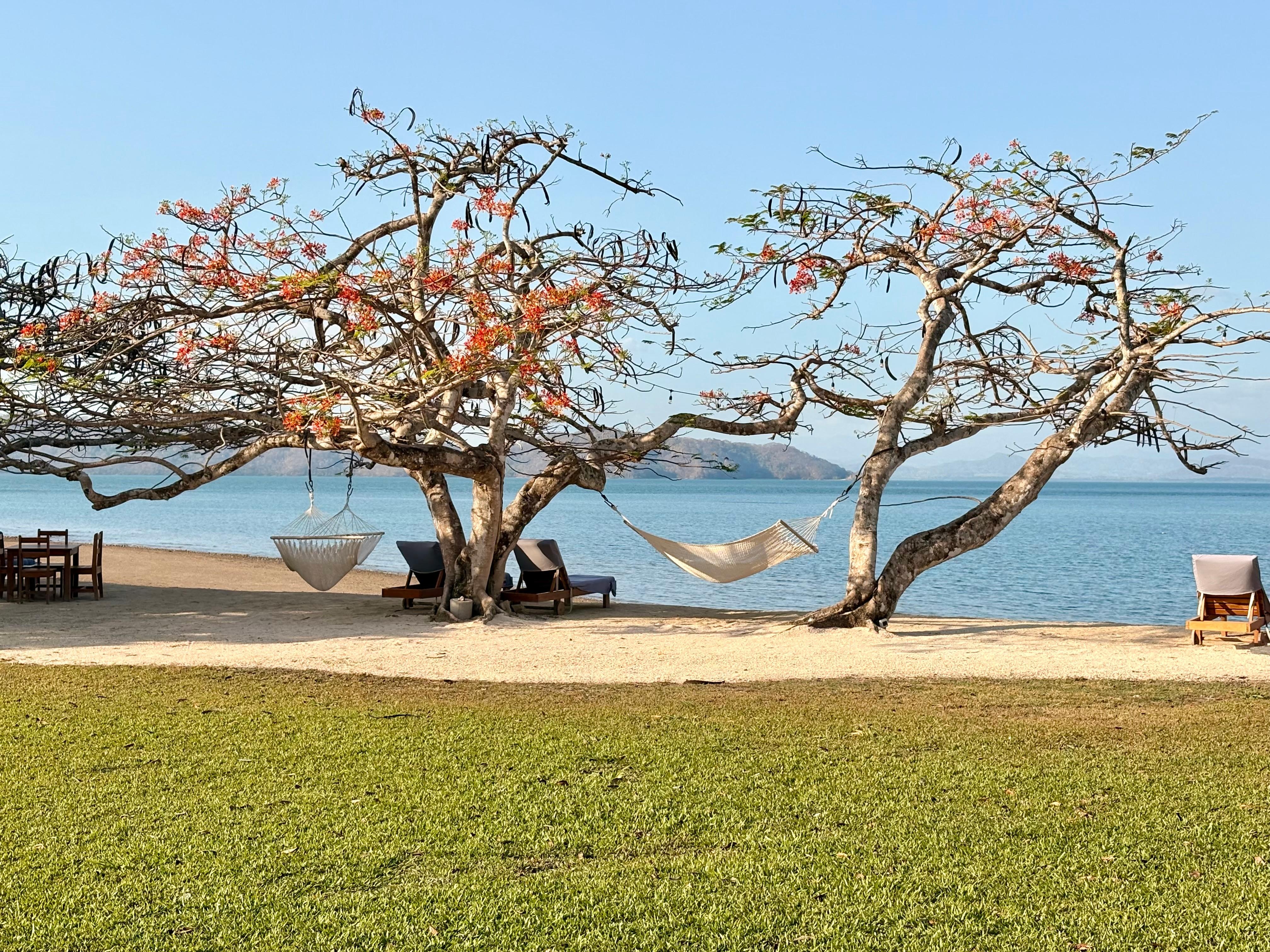 Garden area near beach