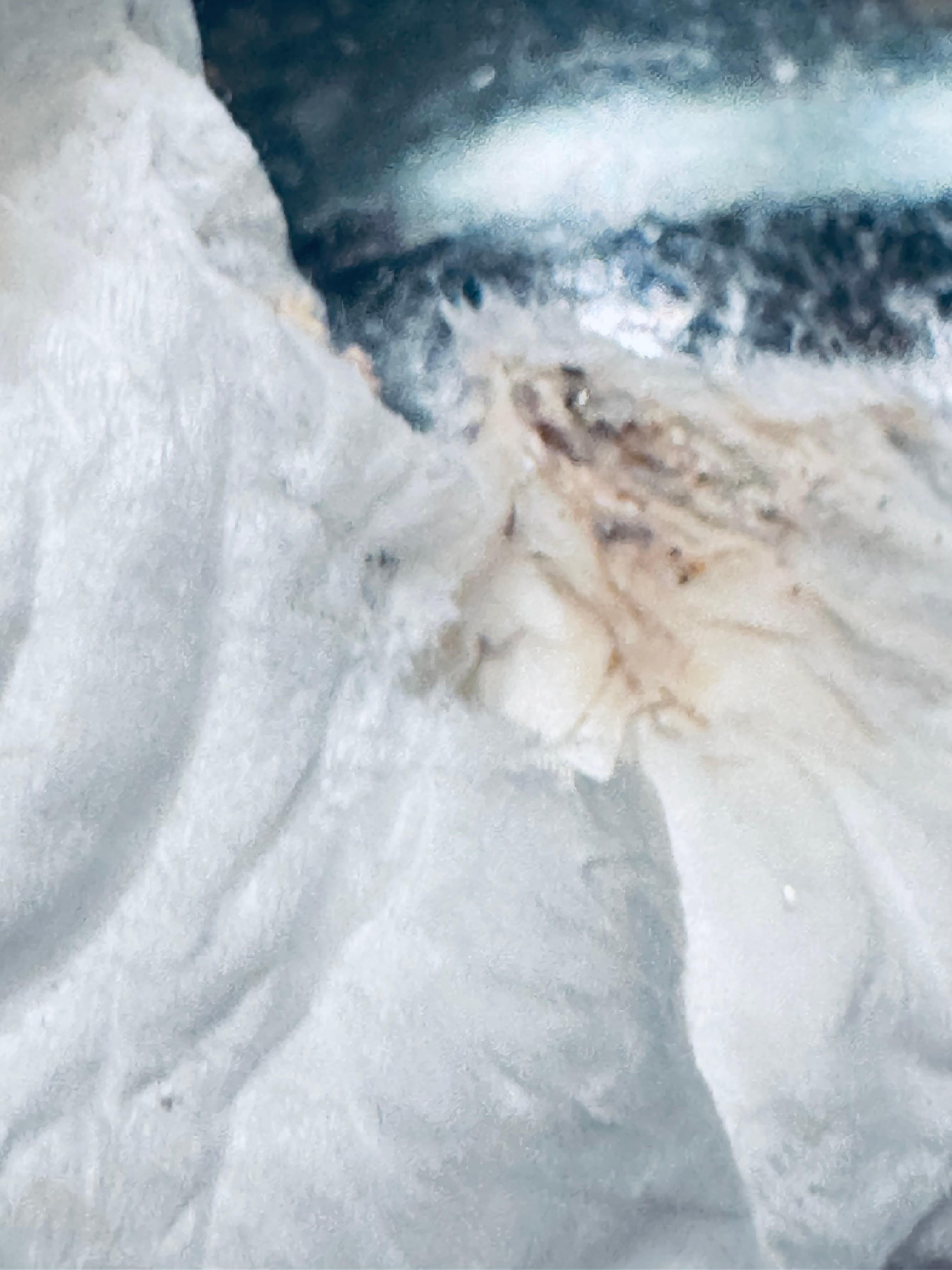 This “yukky” stuff I wiped from the sink area 