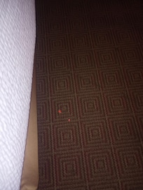 Tag from gift purchased hadn't been vacuumed