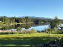 Never wanted to leave. Bird families abound including eagles