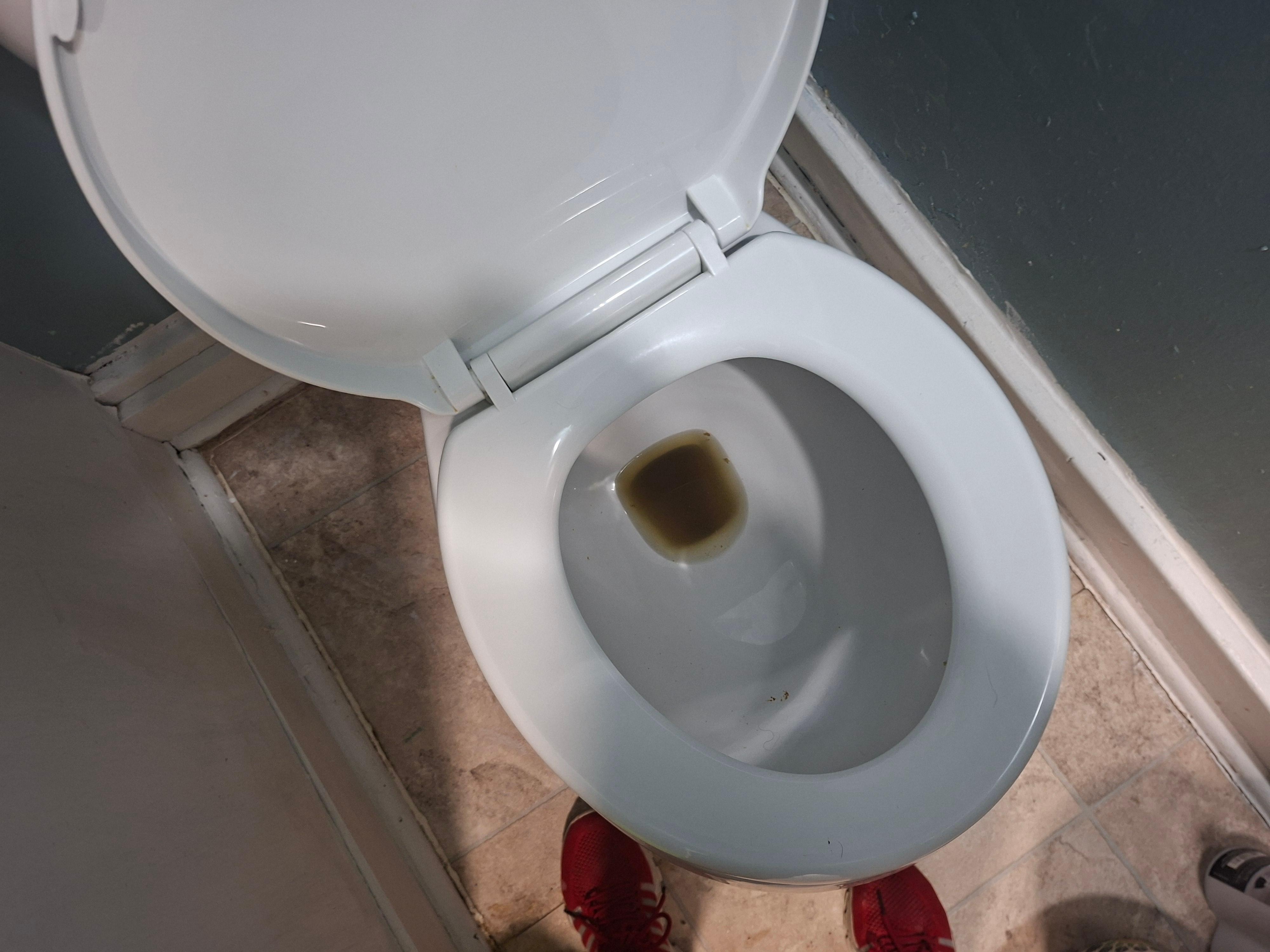 Disgusting toilet