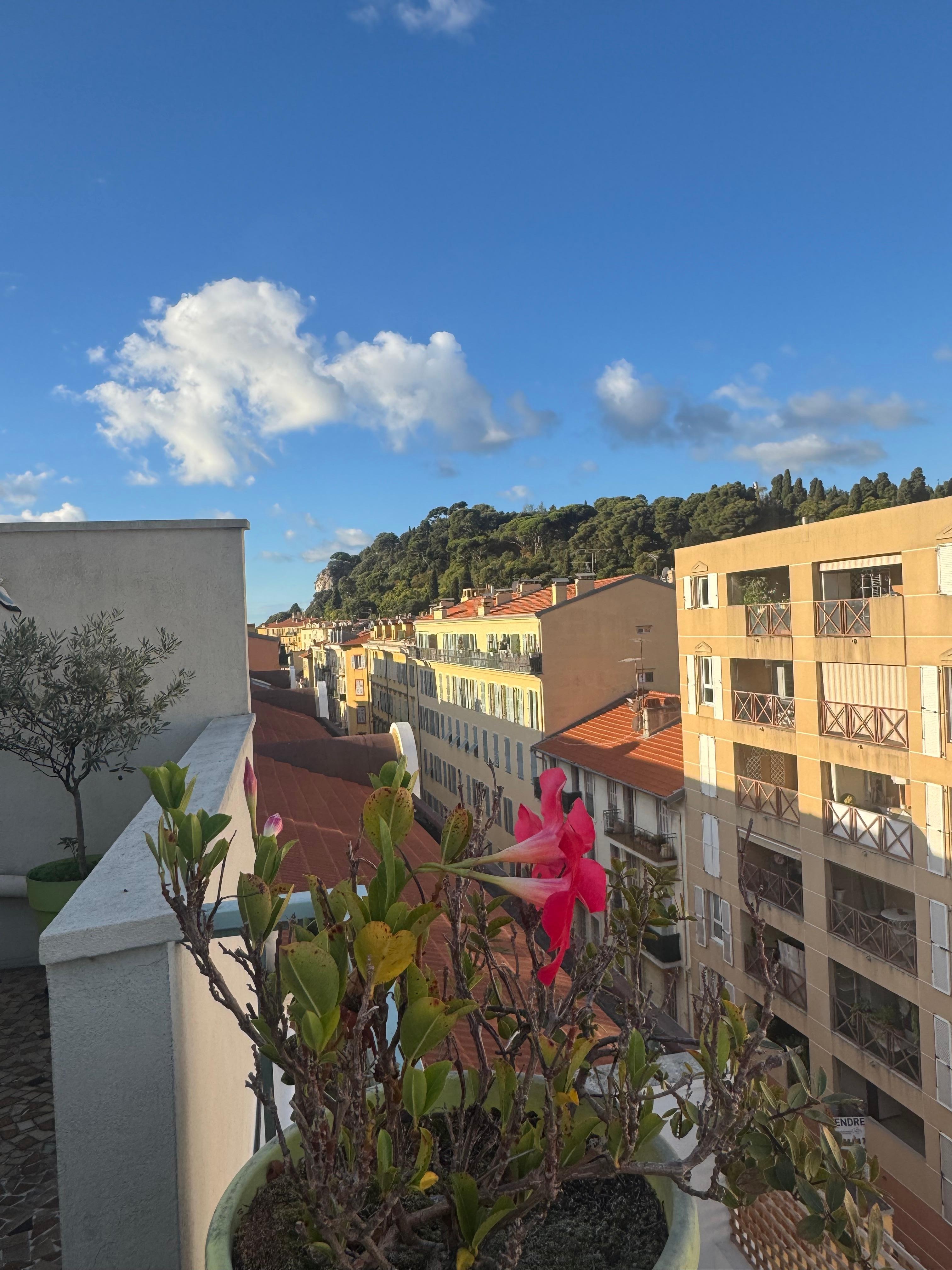 Blick von der großen Terrasse 