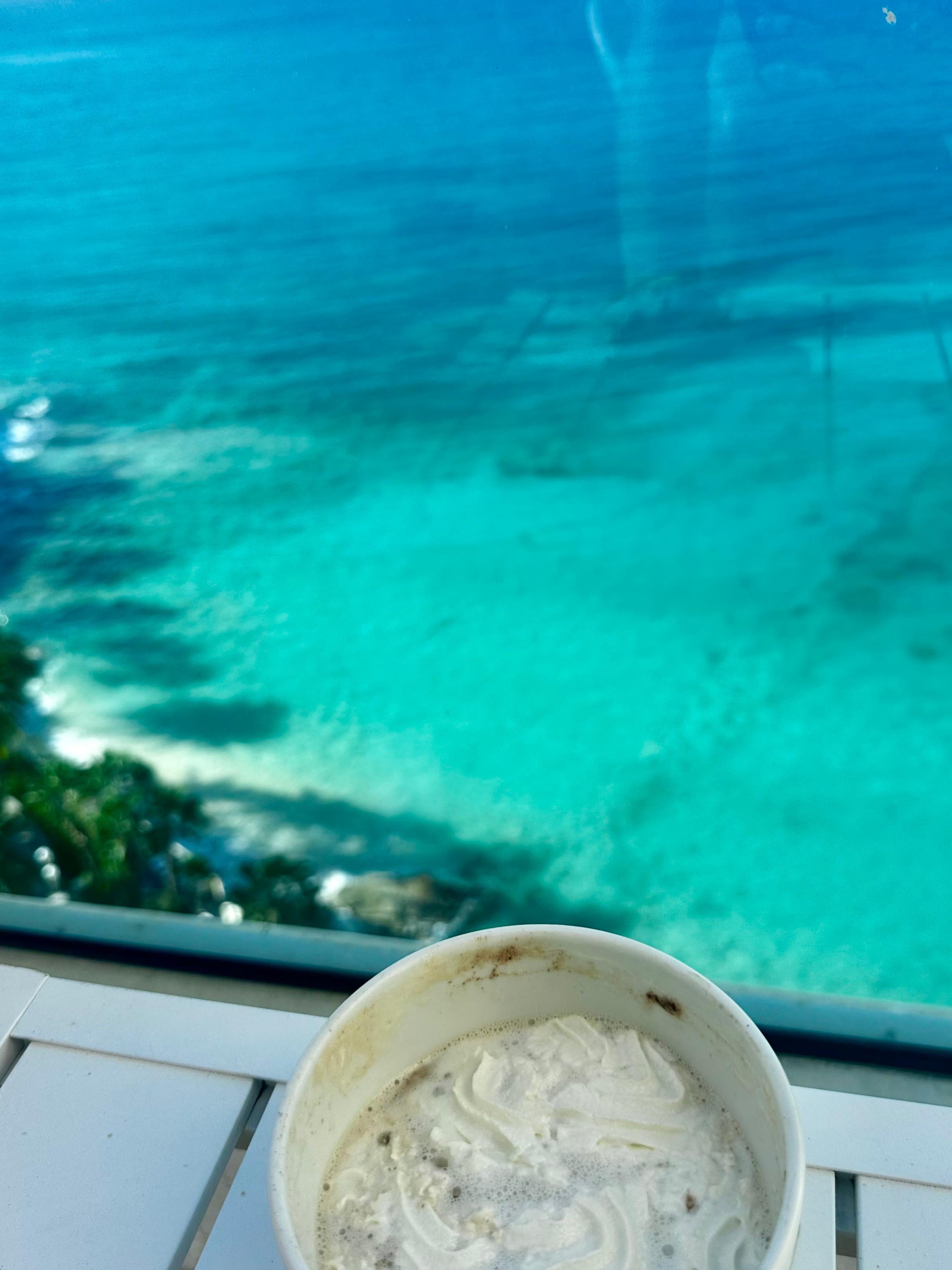 Our morning coffee view!