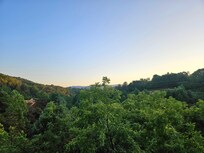 Our view
