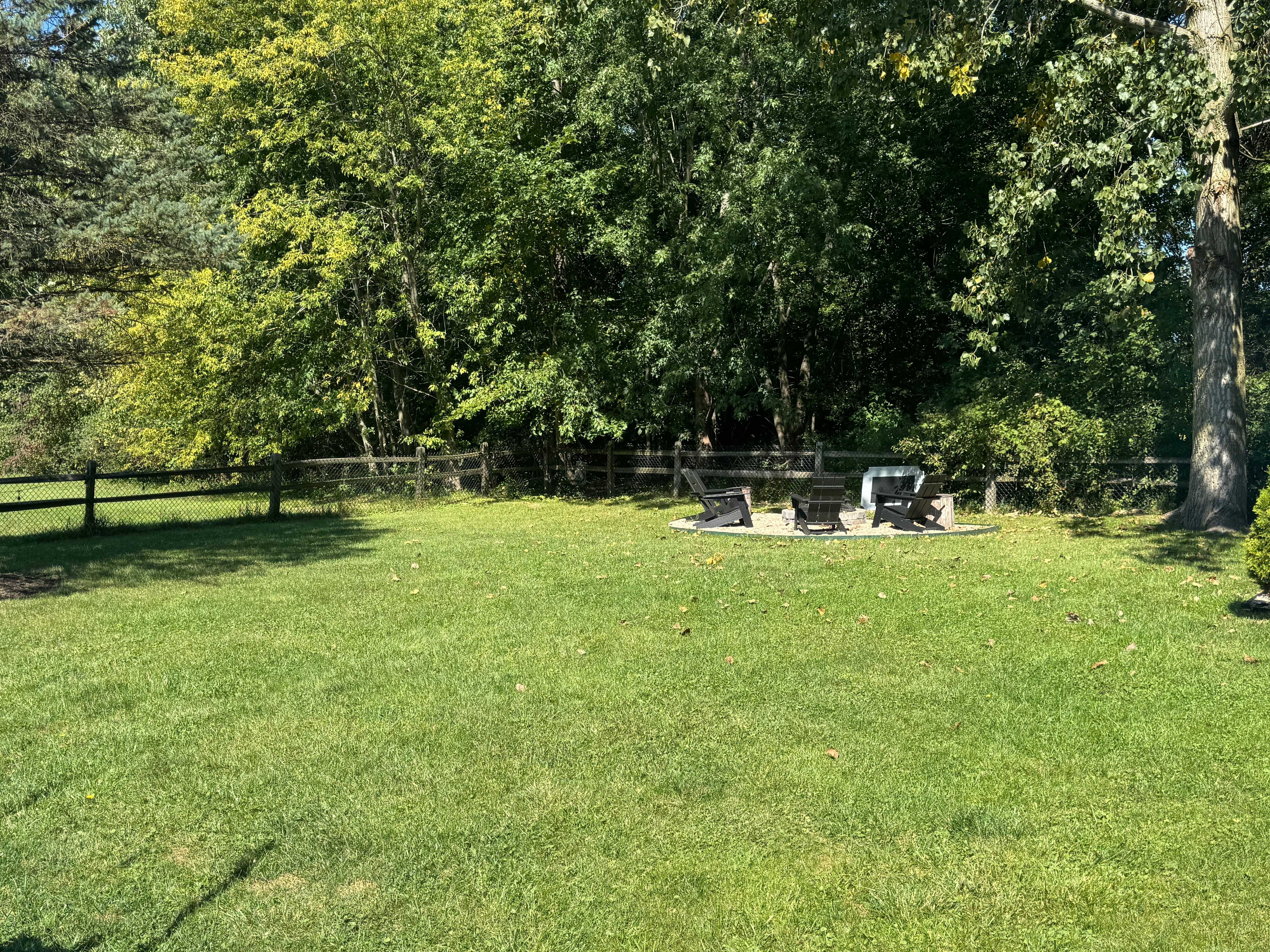 Large yard and firepit area