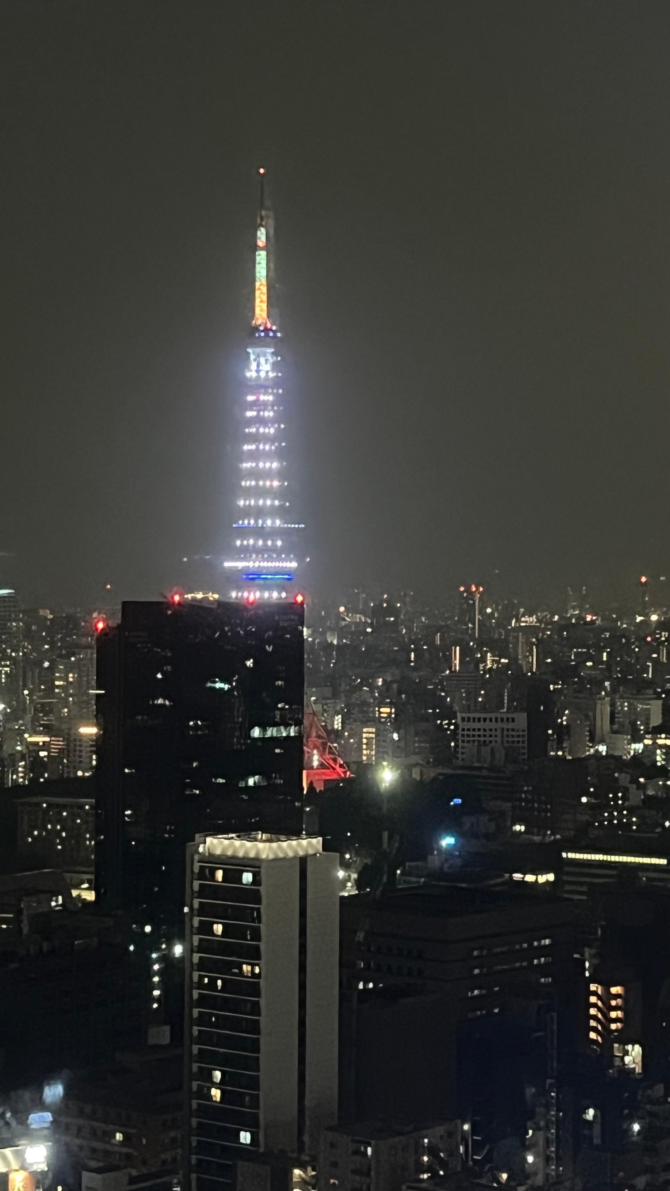 Tokyo tower View