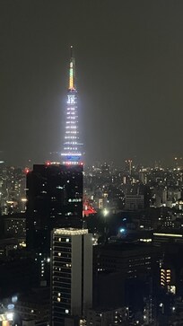 Tokyo tower View