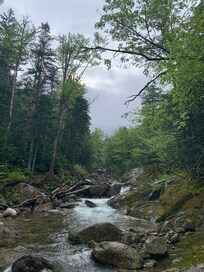 On the Ammonoosuc Trail (2)