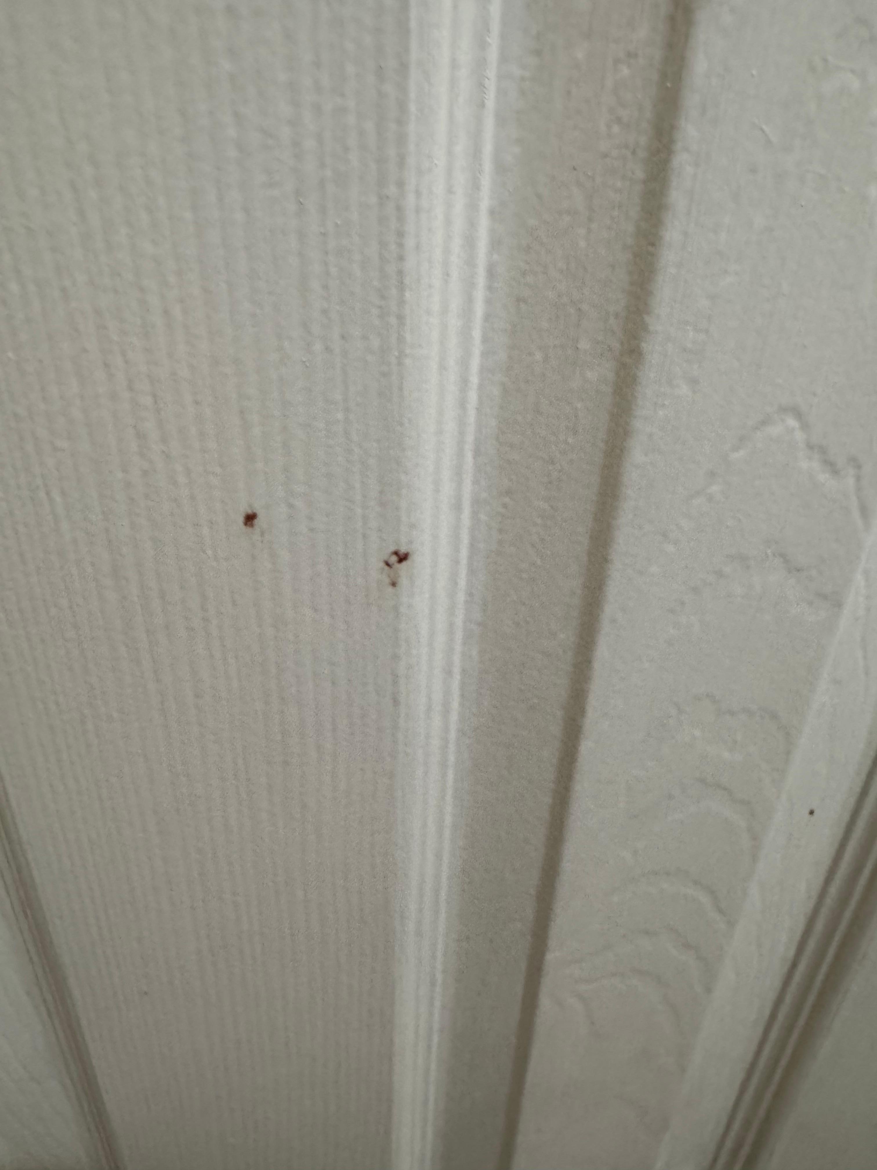 Spots of blood on the door