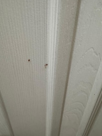 Spots of blood on the door