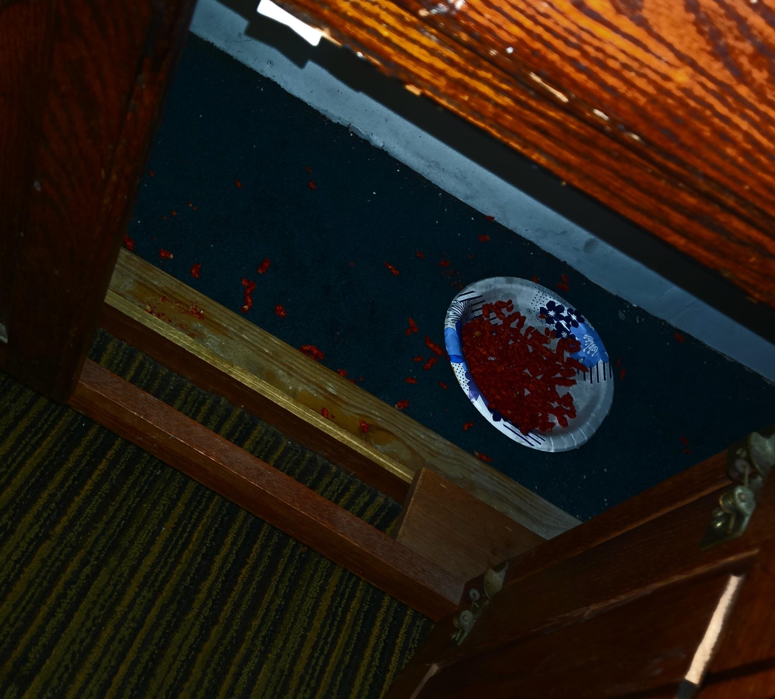 Cat food inside bathroom vanity 