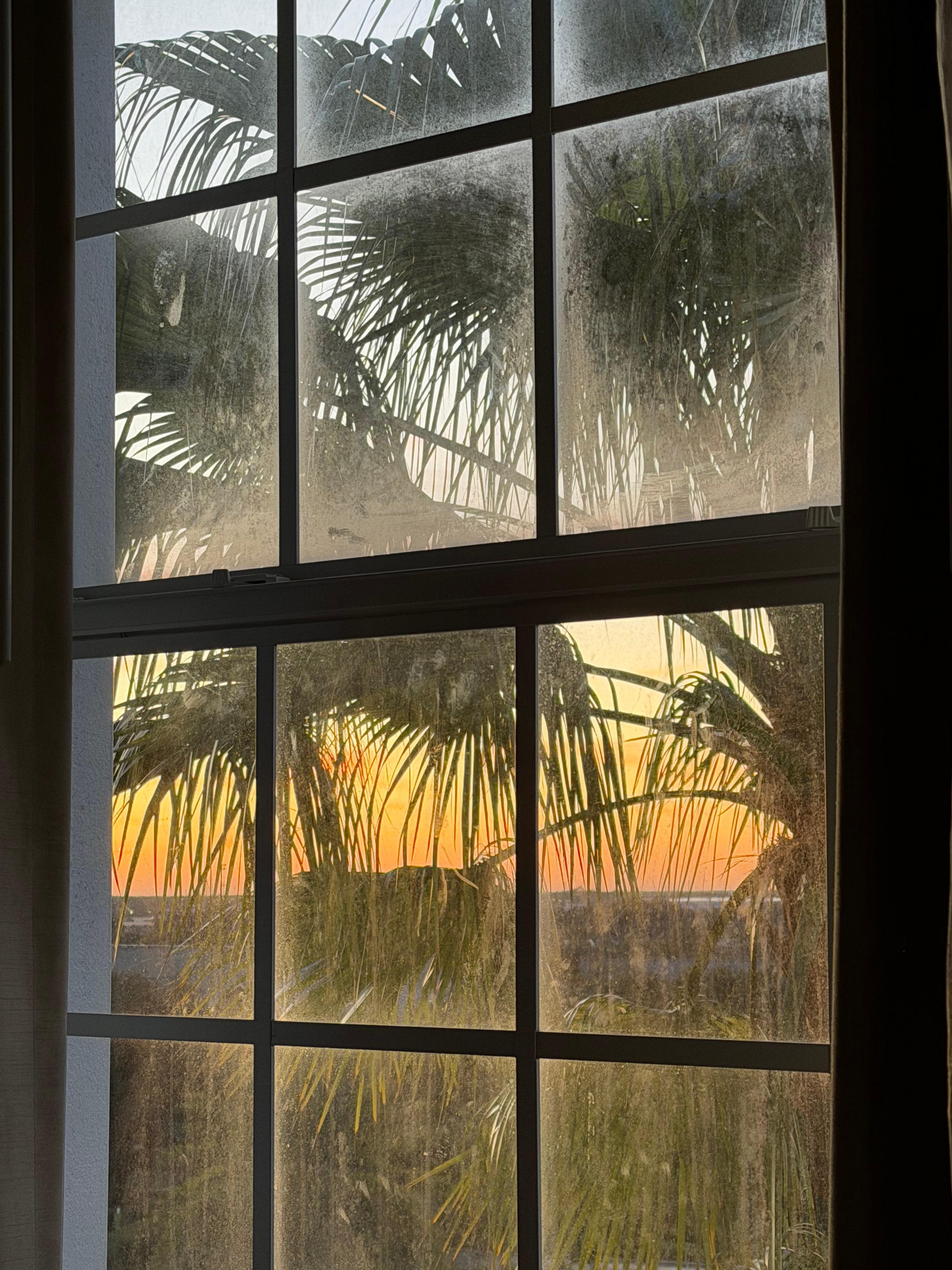 Morning view from master bedroom window.  