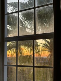 Morning view from master bedroom window.