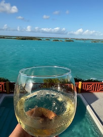 Raising a toast from the private balcony