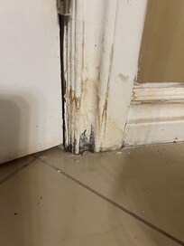 Black mould in bathroom
