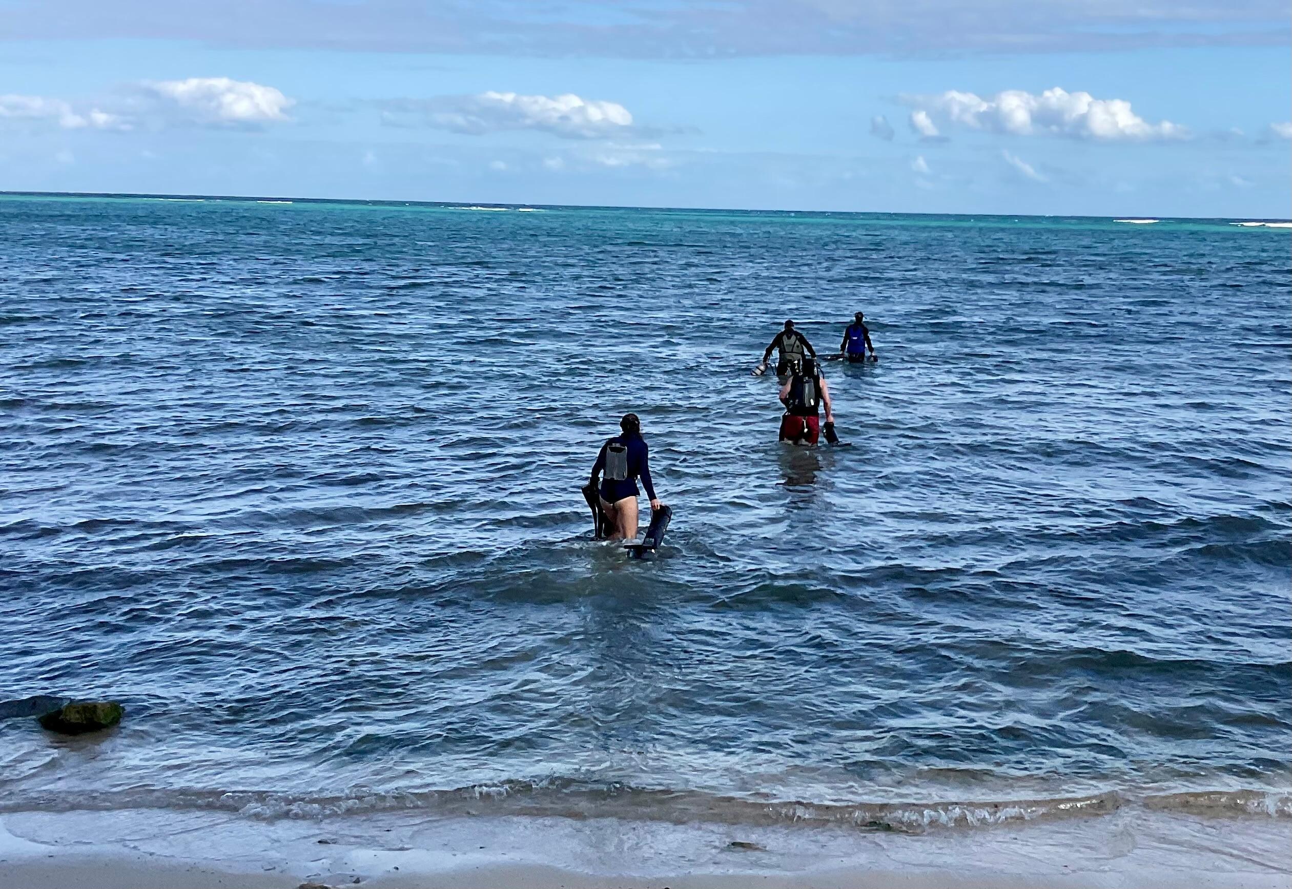 SCUBA diving in our backyard 