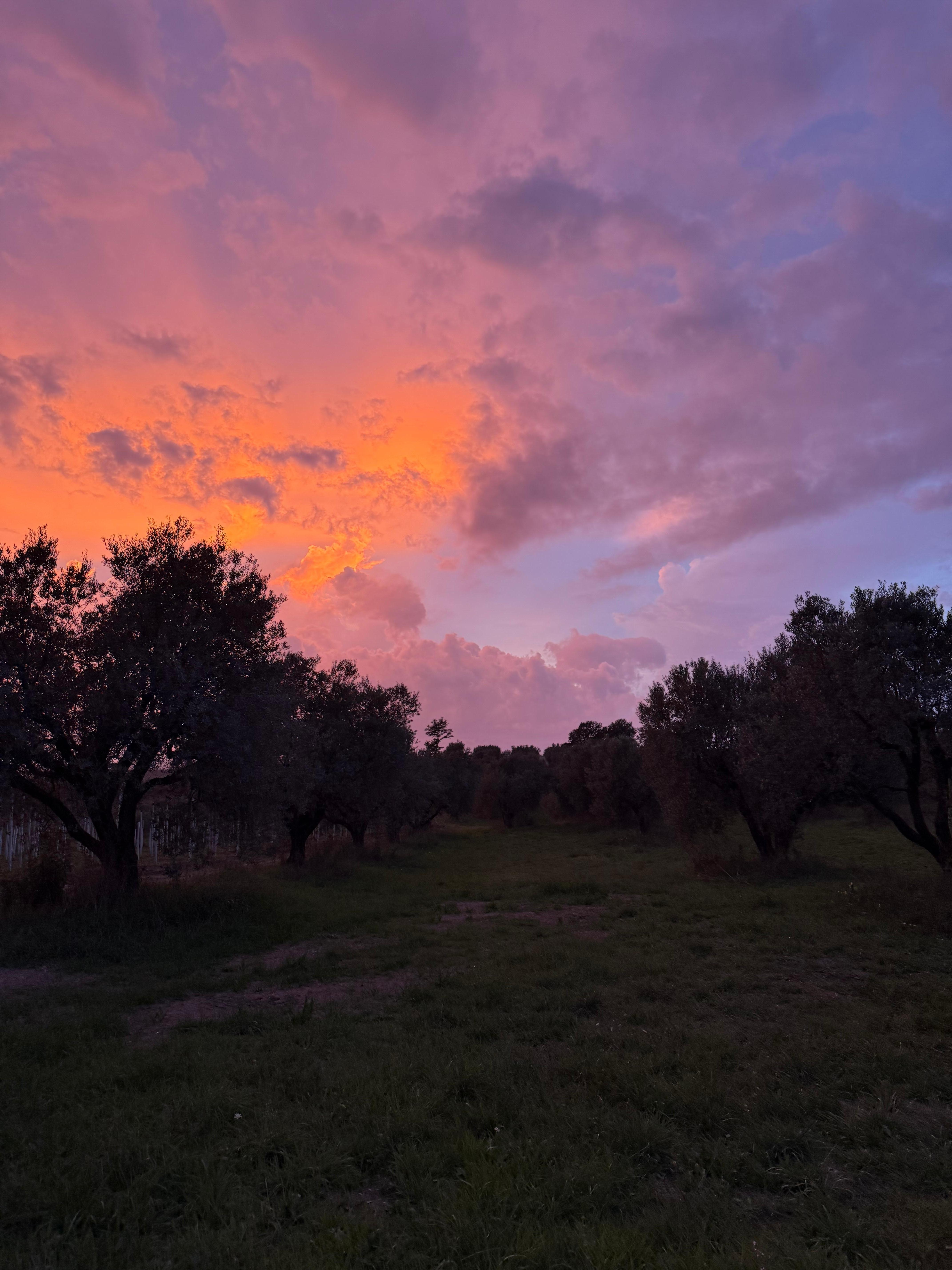 Sunset from the road!