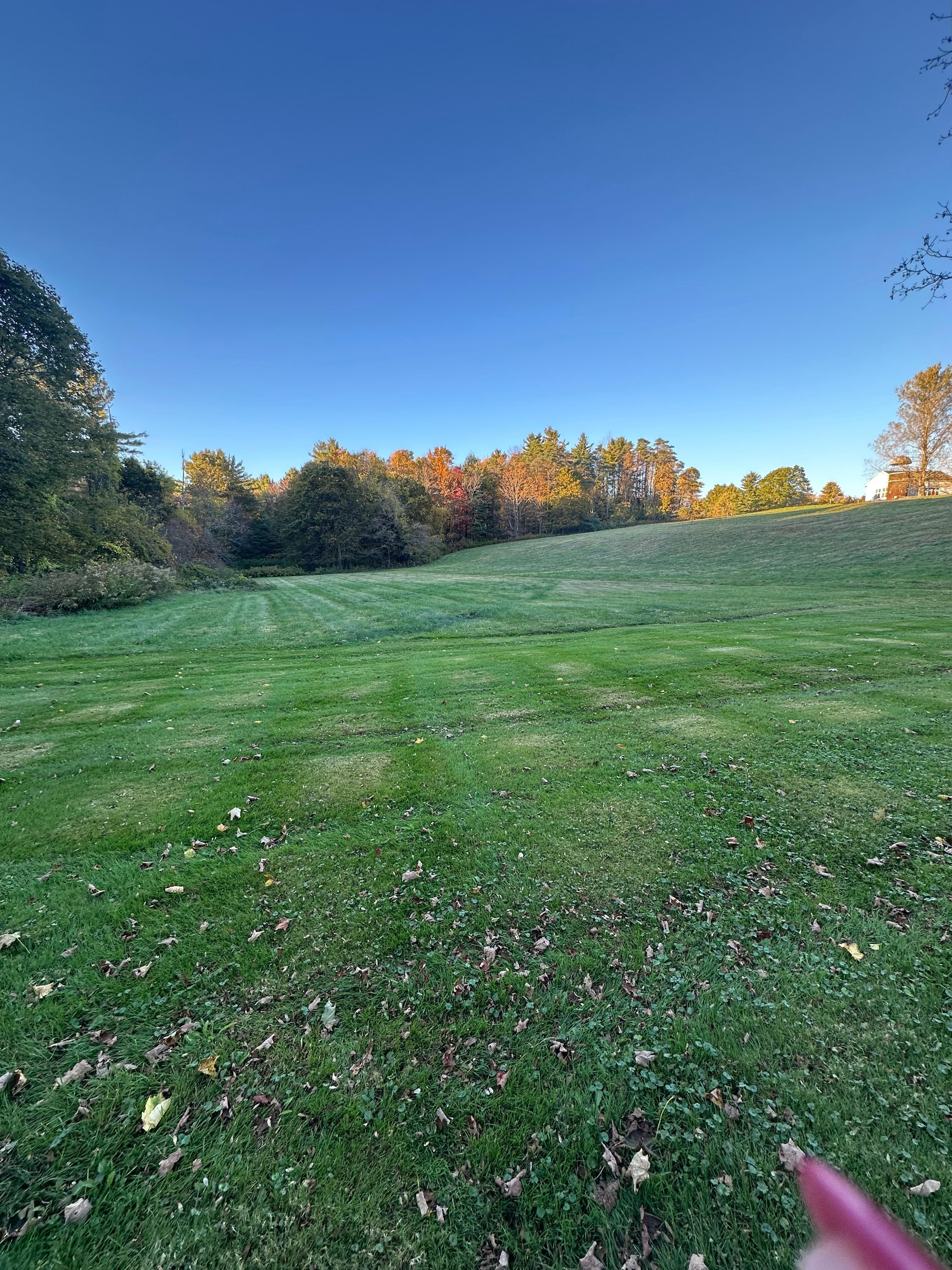 Homes Beautiful back yard 