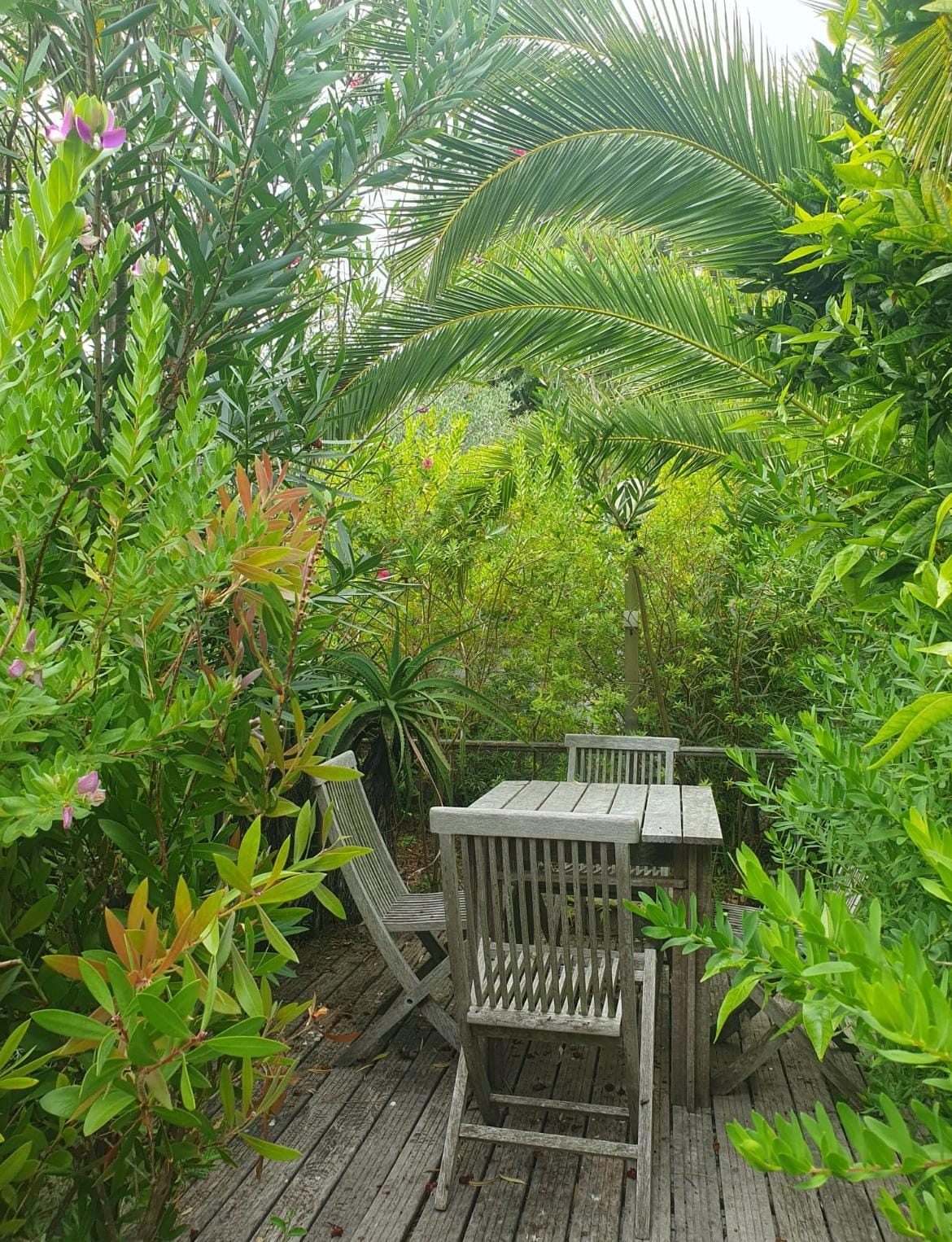 Petit recoin du jardin 