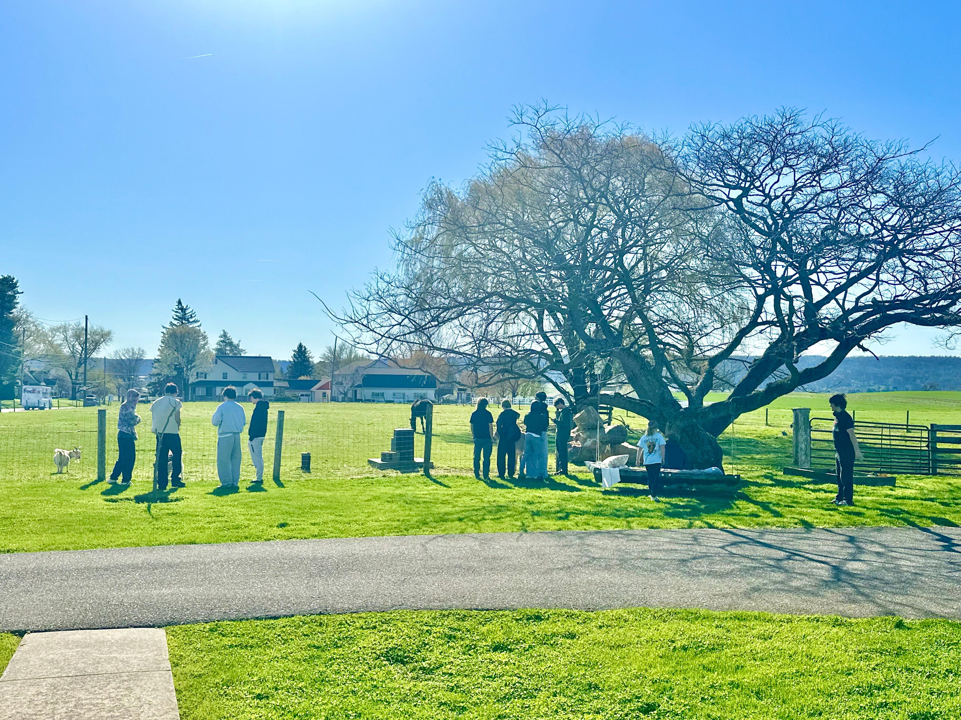 The group with the animals