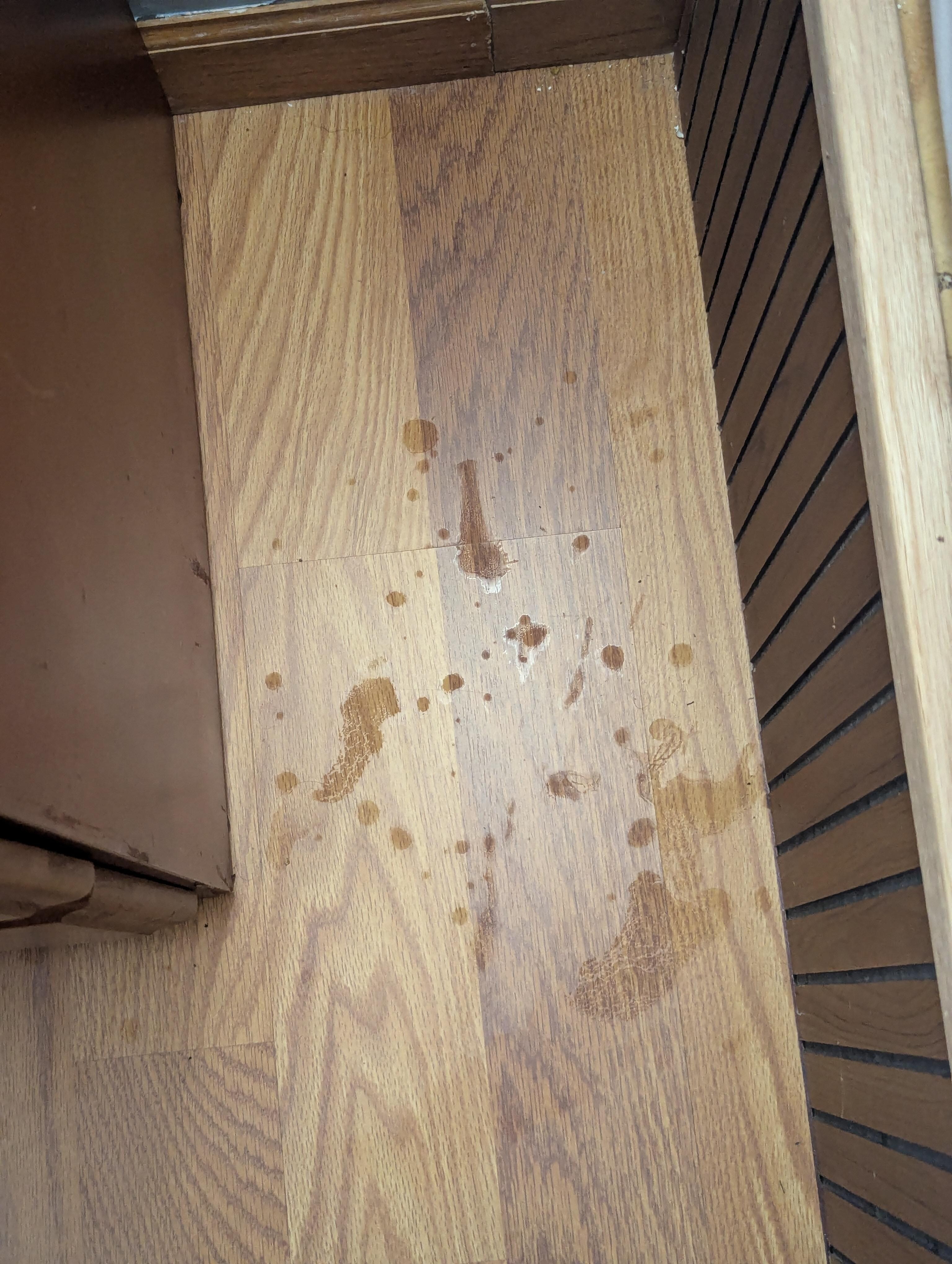 Floor mess