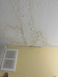 Ceiling in bath several sections like this