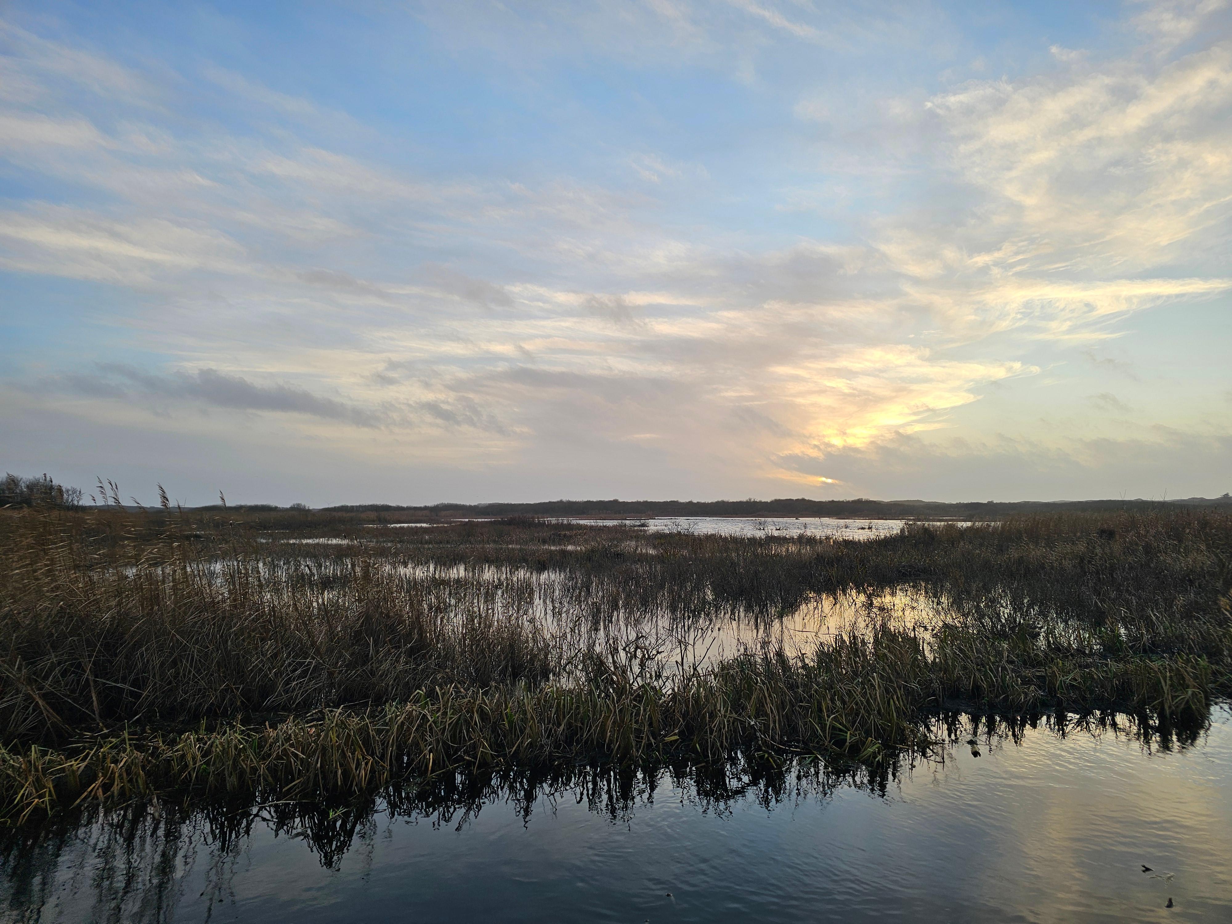 Naturschutzgebiet Swanenwater