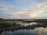 Naturschutzgebiet Swanenwater