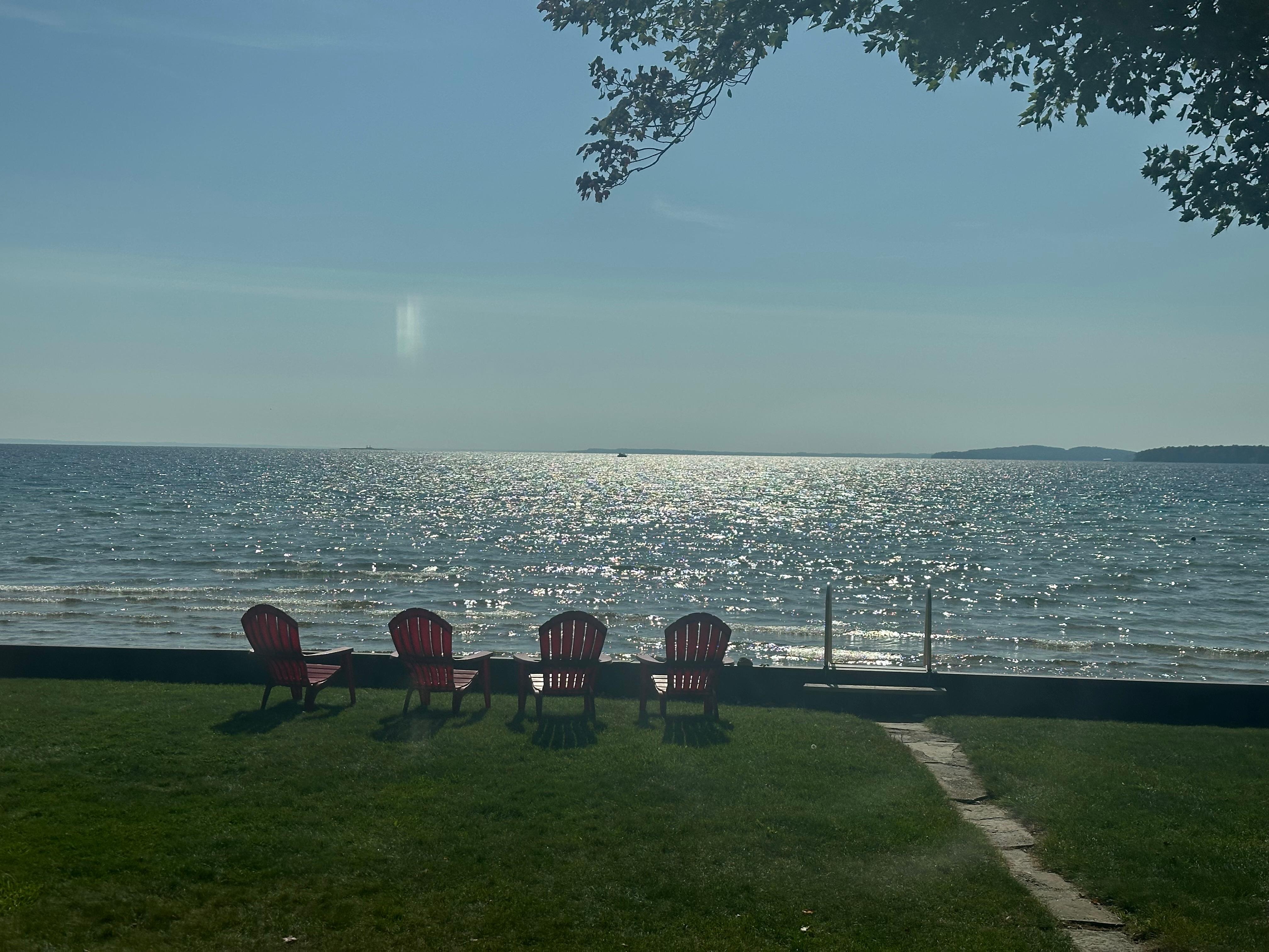 View from back porch