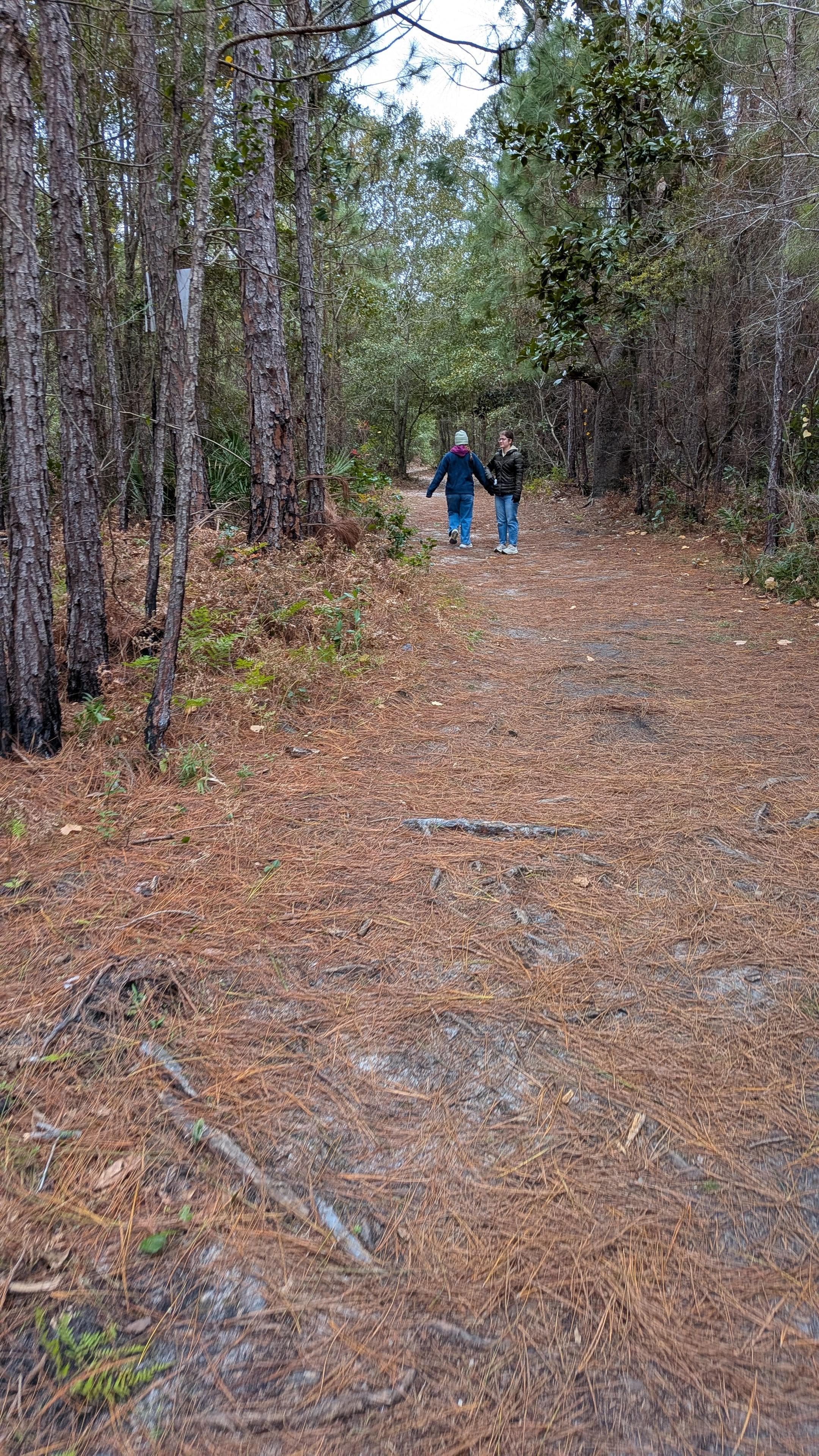 Walking the Audubon trails